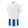 Maillot de Supporter SC Heerenveen Domicile 2023-24 Pour Homme